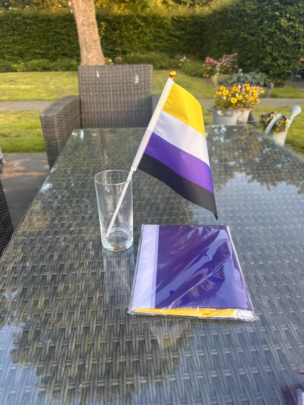 Non binair vlaggen pakket